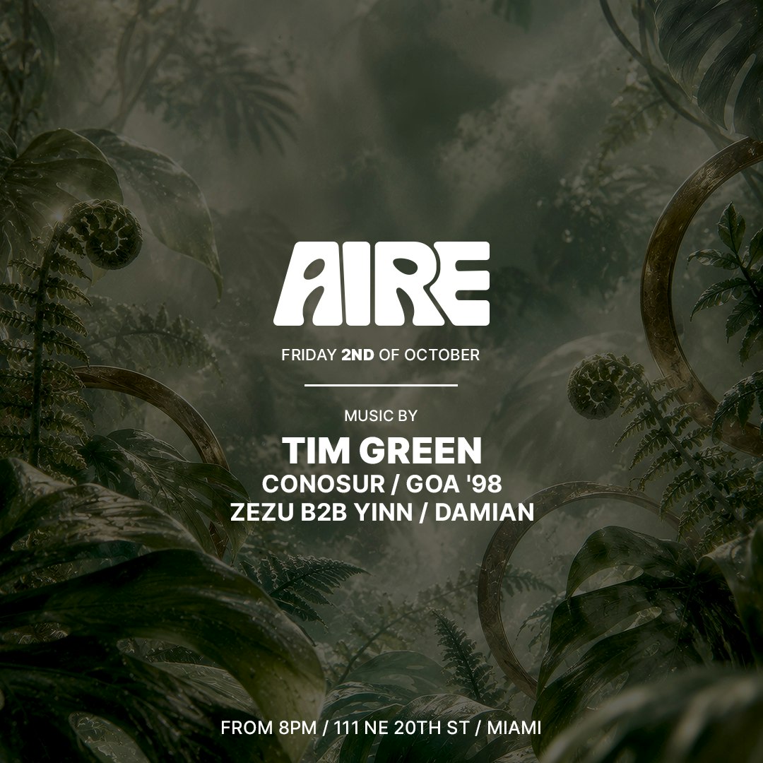 AIRE: Tim Green, Conosur, Goa '98, Zezu, Damian