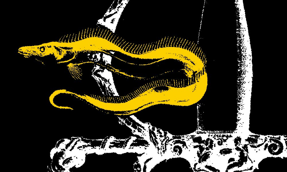 Liiek / Big Whale / Illness