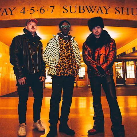 Too Many Zooz