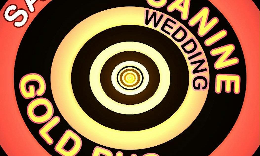 Sam Larson // Canine Wedding // Gold Bug