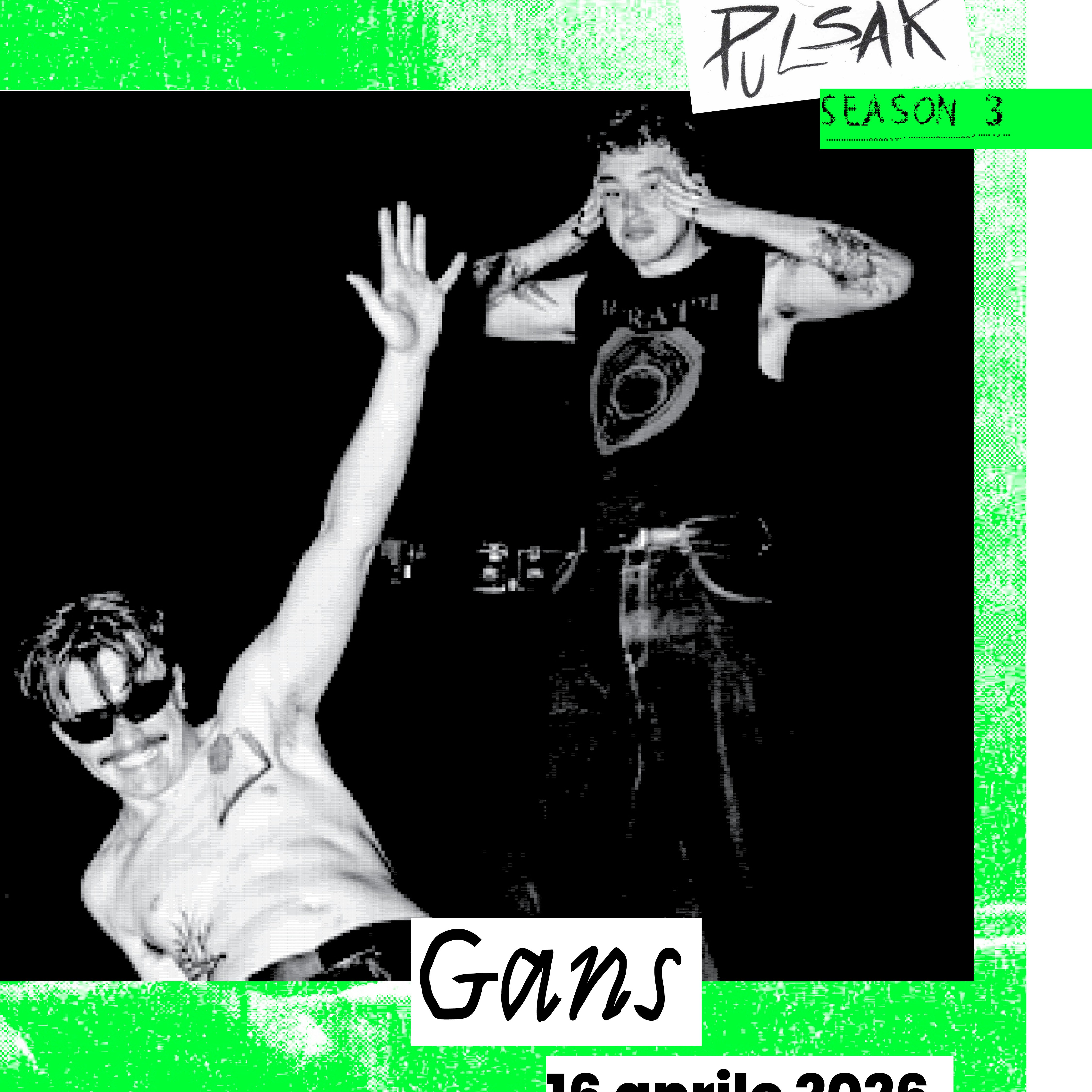 Gans x Pulsar