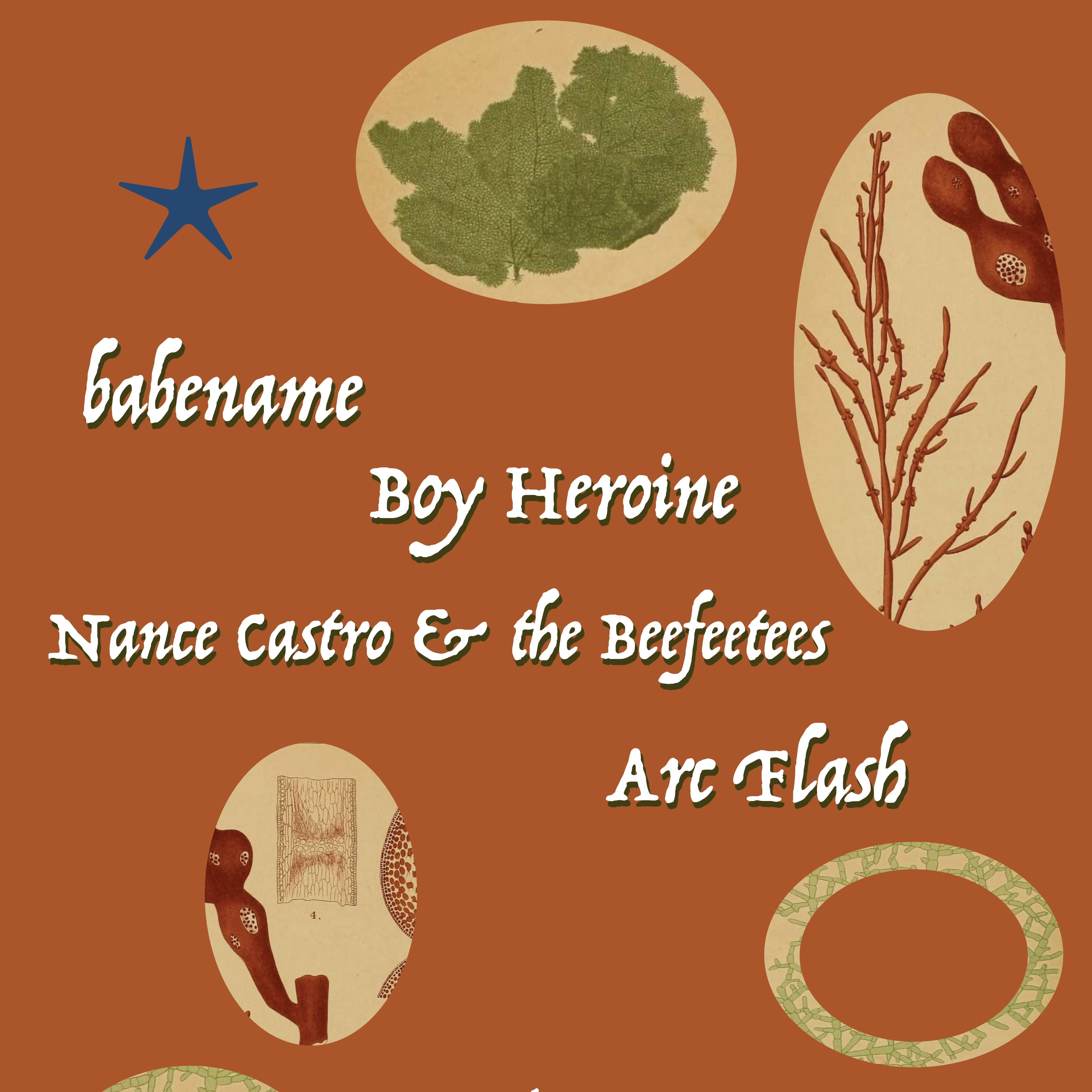 babename, Boy Heroine, Nance Castro & the Beefeetees, Arc Flash