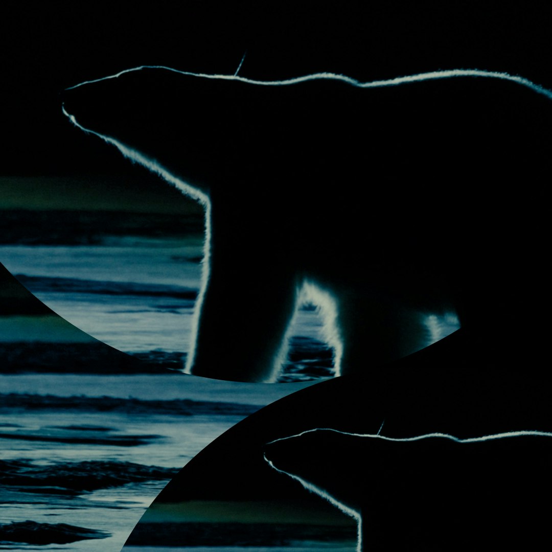 MUBI FEST: NUISANCE BEAR + Q&A