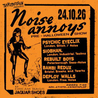 TRANSGRESSION PRESENTS: Noise Annoys 2