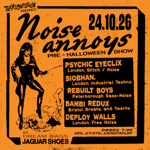 TRANSGRESSION PRESENTS: Noise Annoys 2