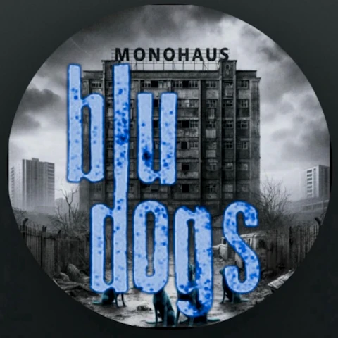 Blu Dogs live at SJQ