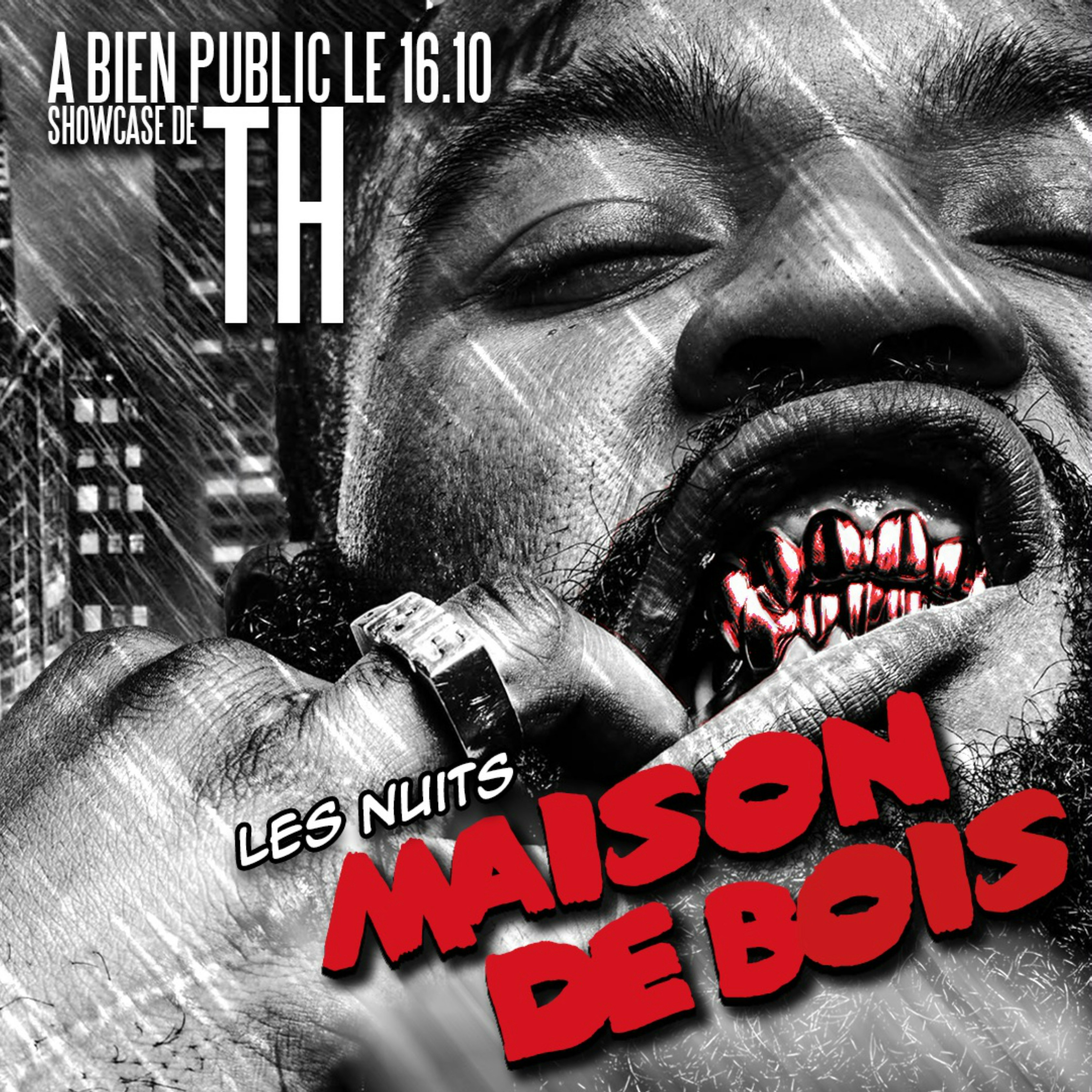 LES NUITS MAISON DE BOIS : TH