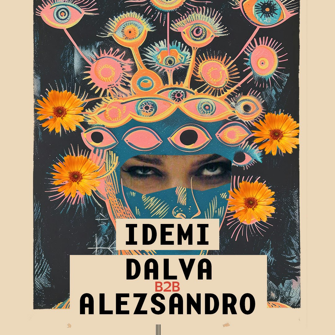 Cover image for IDEMI