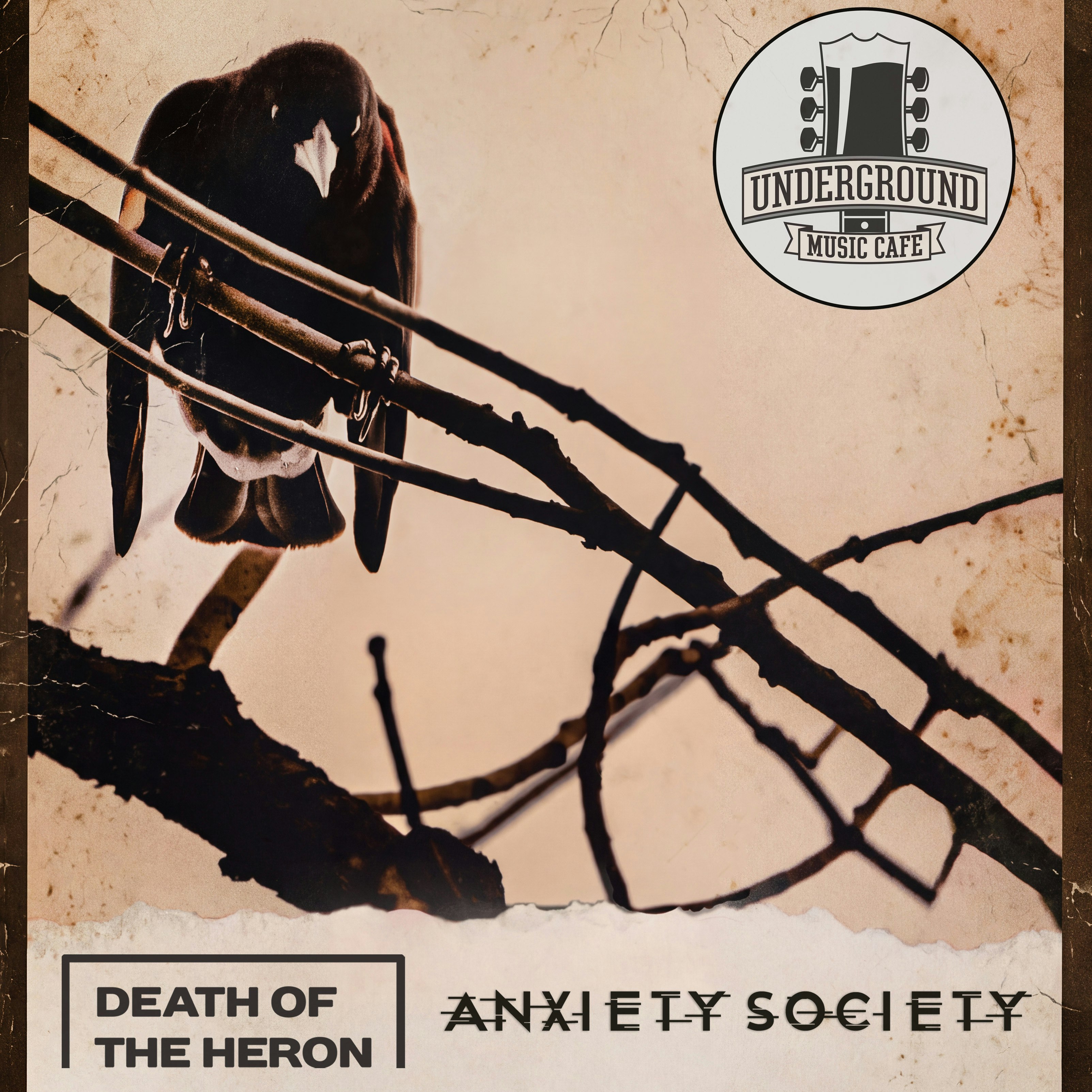 Death of the Heron, Anxiety Society, Draconian Hate, & Ivory Corvus