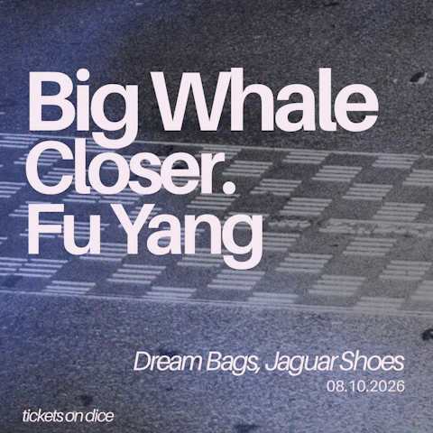 Big Whale / Closer. / Fu Yang