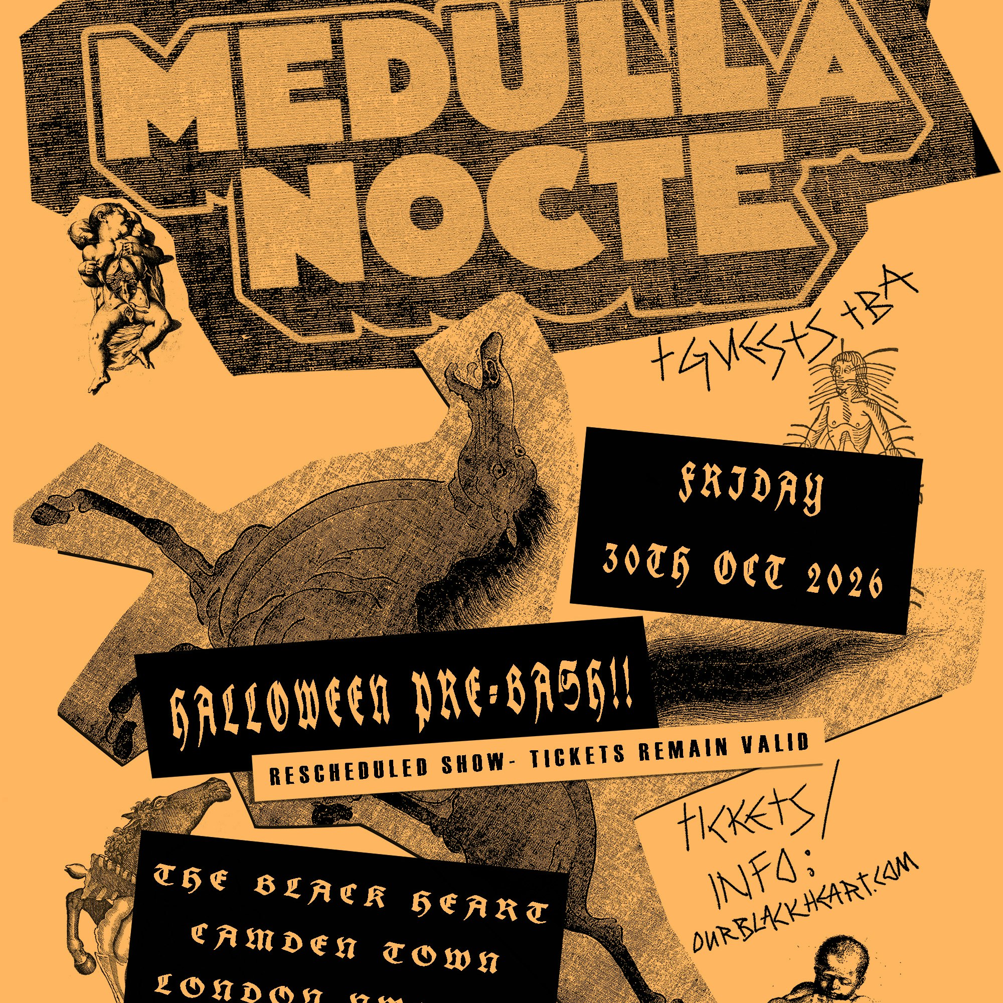 Medulla Nocte @ The Black Heart