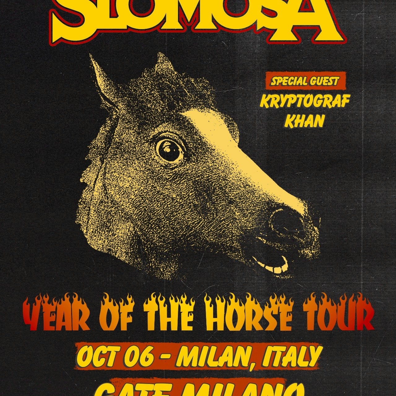 Cover image for Slomosa