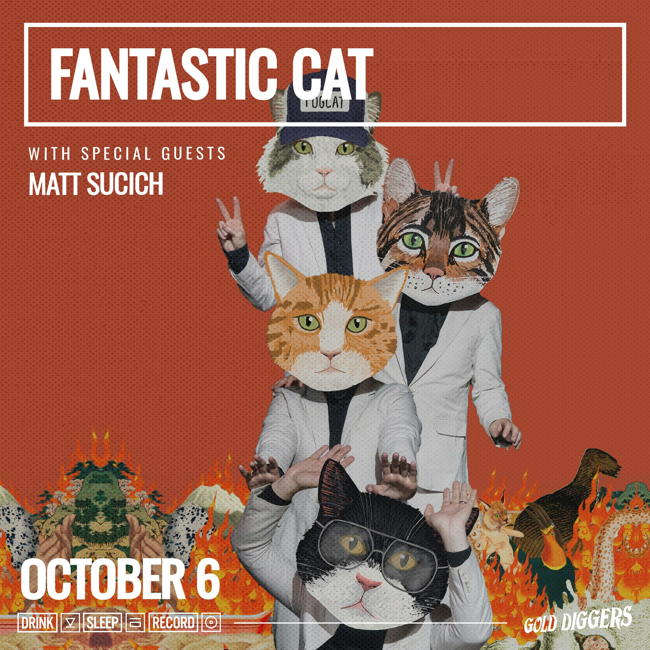 Fantastic Cat, Matt Sucich