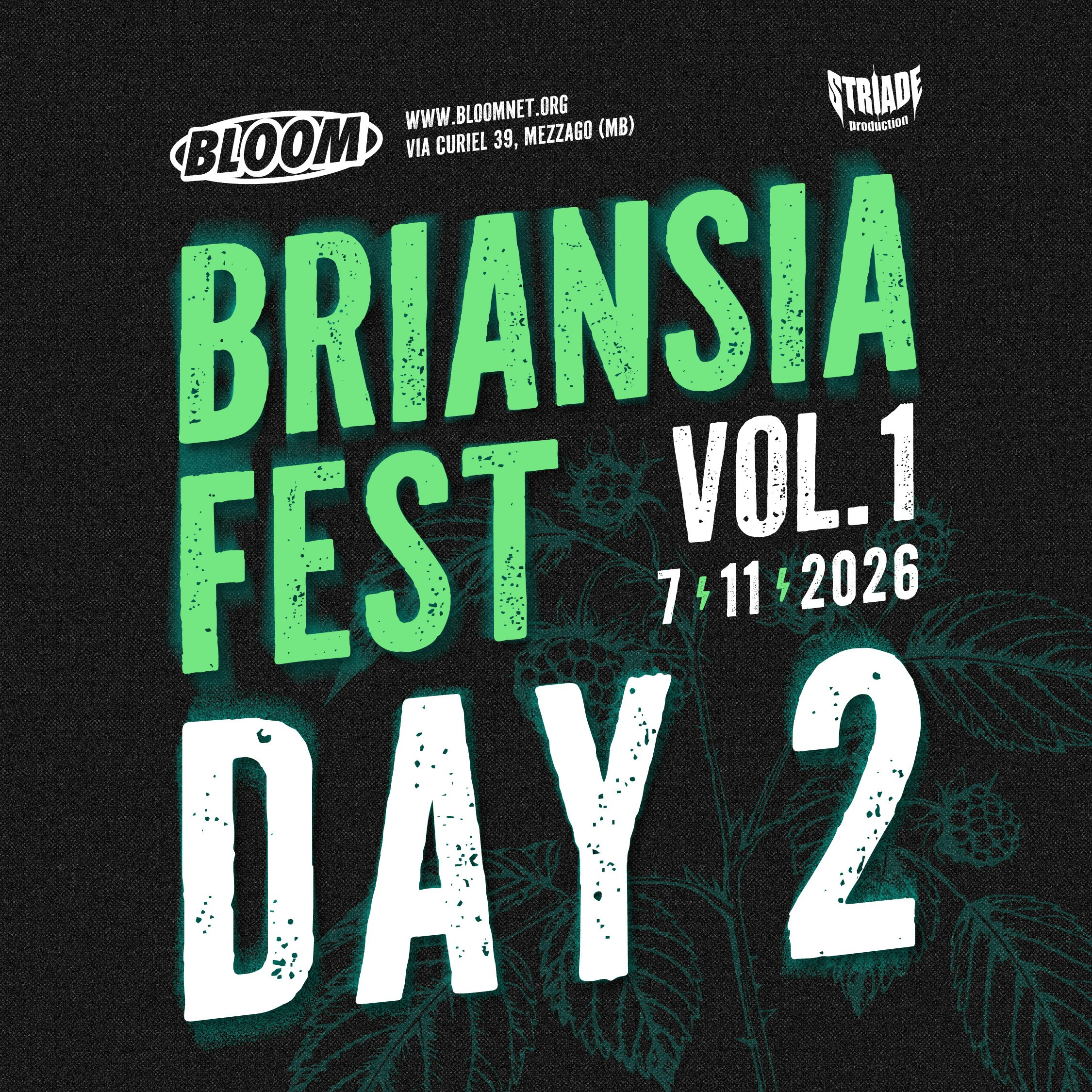 BRIANSIA FEST - DAY 2