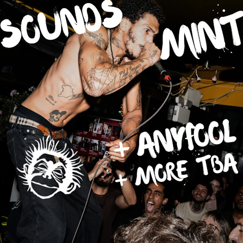 Sounds Mint, Any Fool + More TBA