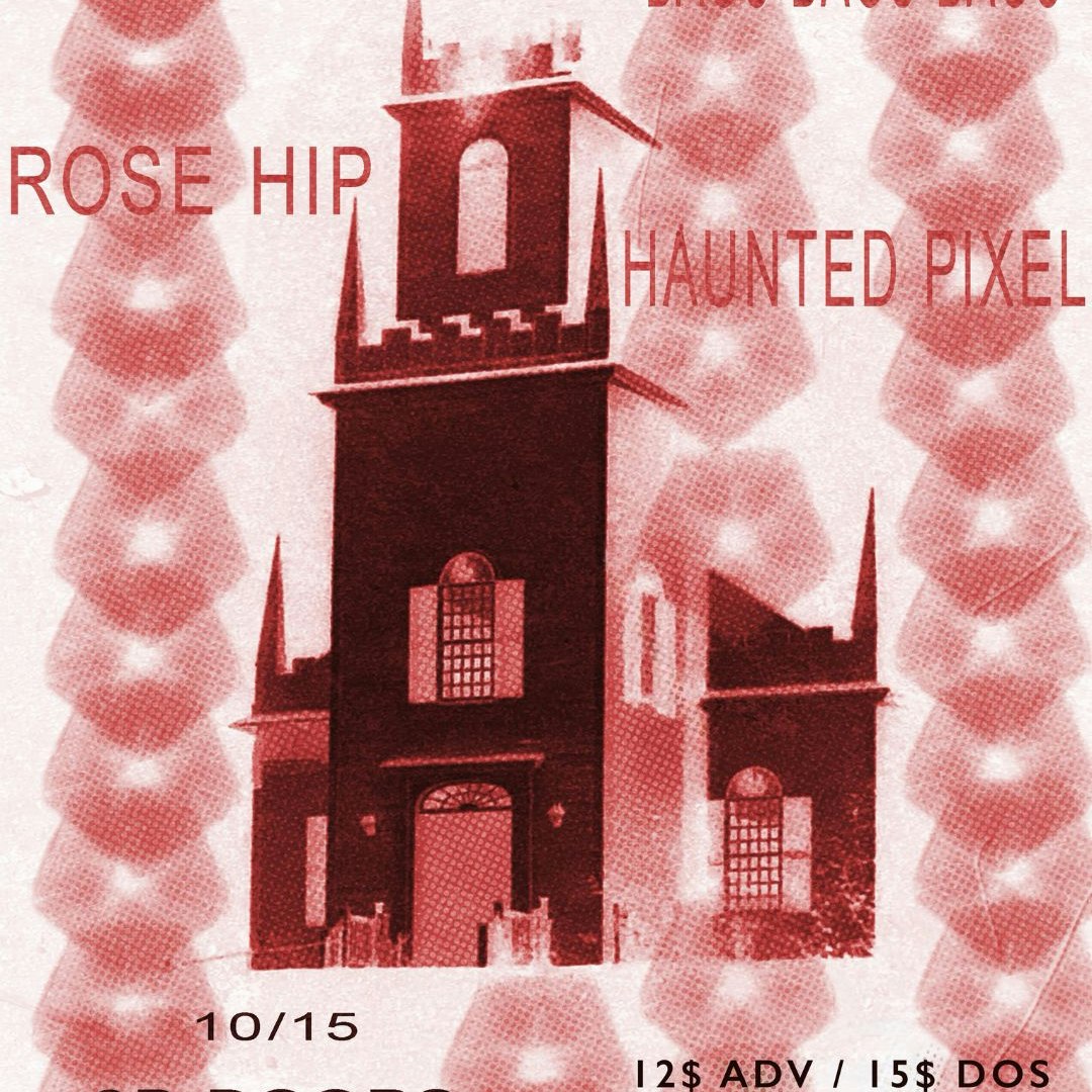 Holy Taker // Rose Hip // Bags Bags Bags // Haunted Pixel