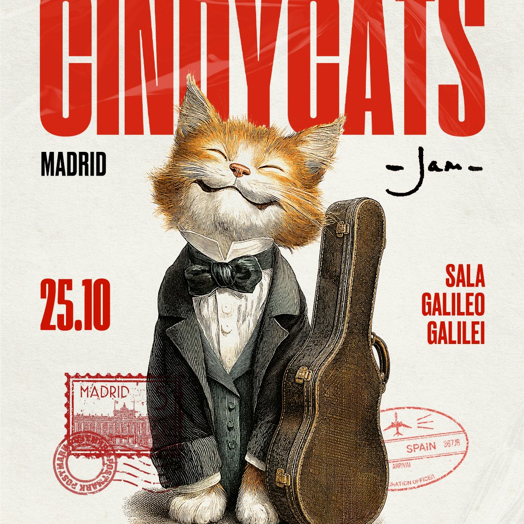 Cover image for Cindy Cats