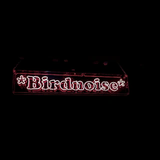 *Birdnoise*: R&B Edition