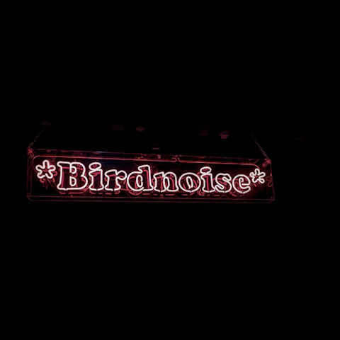 *Birdnoise*: R&B Edition