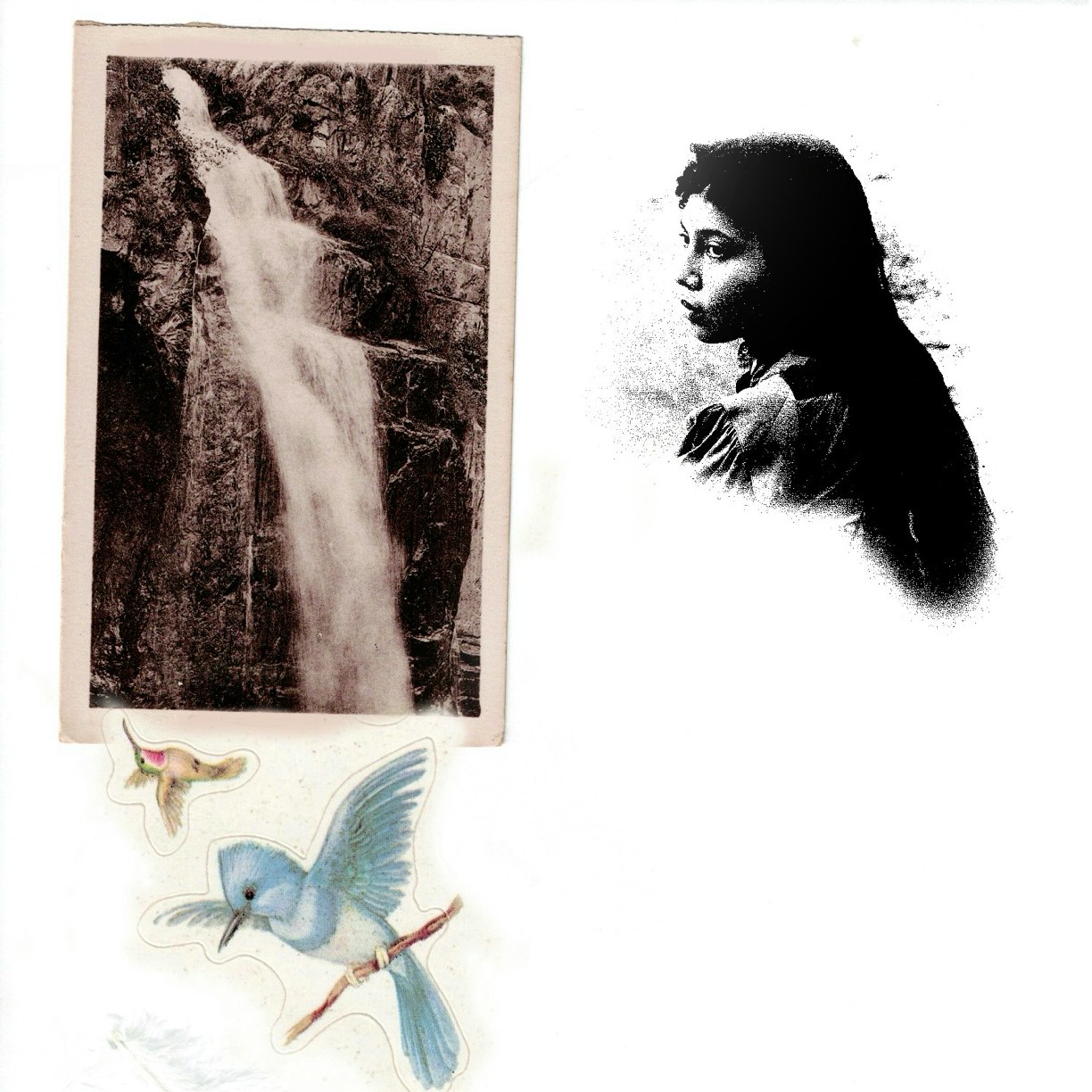June Mcdoom