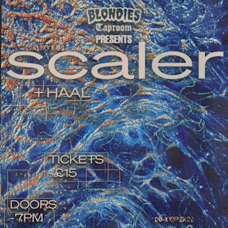 SCALER + Haal