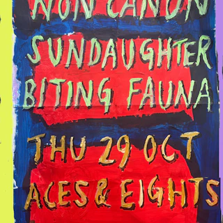 Non Canon debut album 10th anniversary seated show
