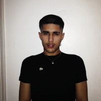 fakemink