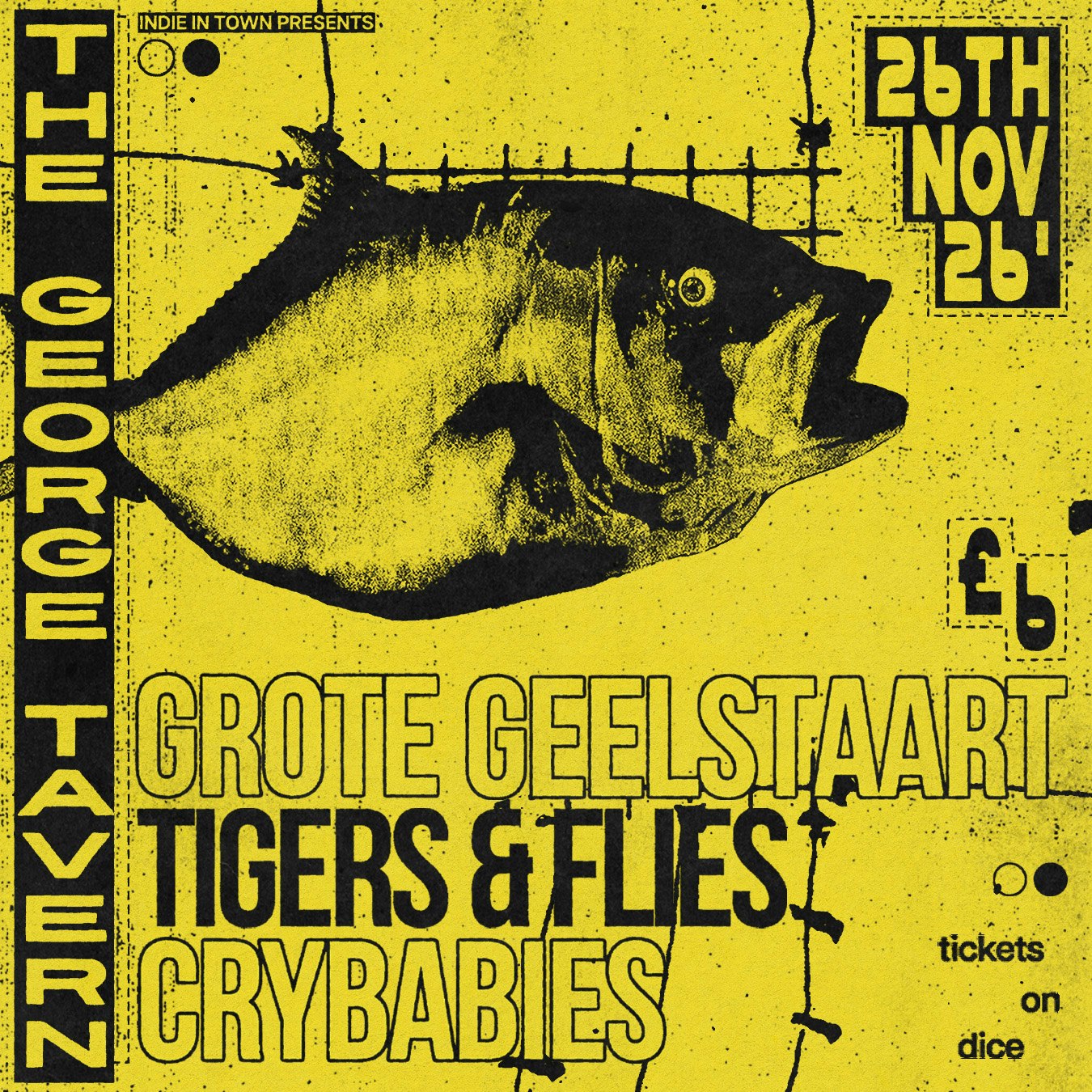 Grote Geelstaart, Tigers and Flies, Crybabies