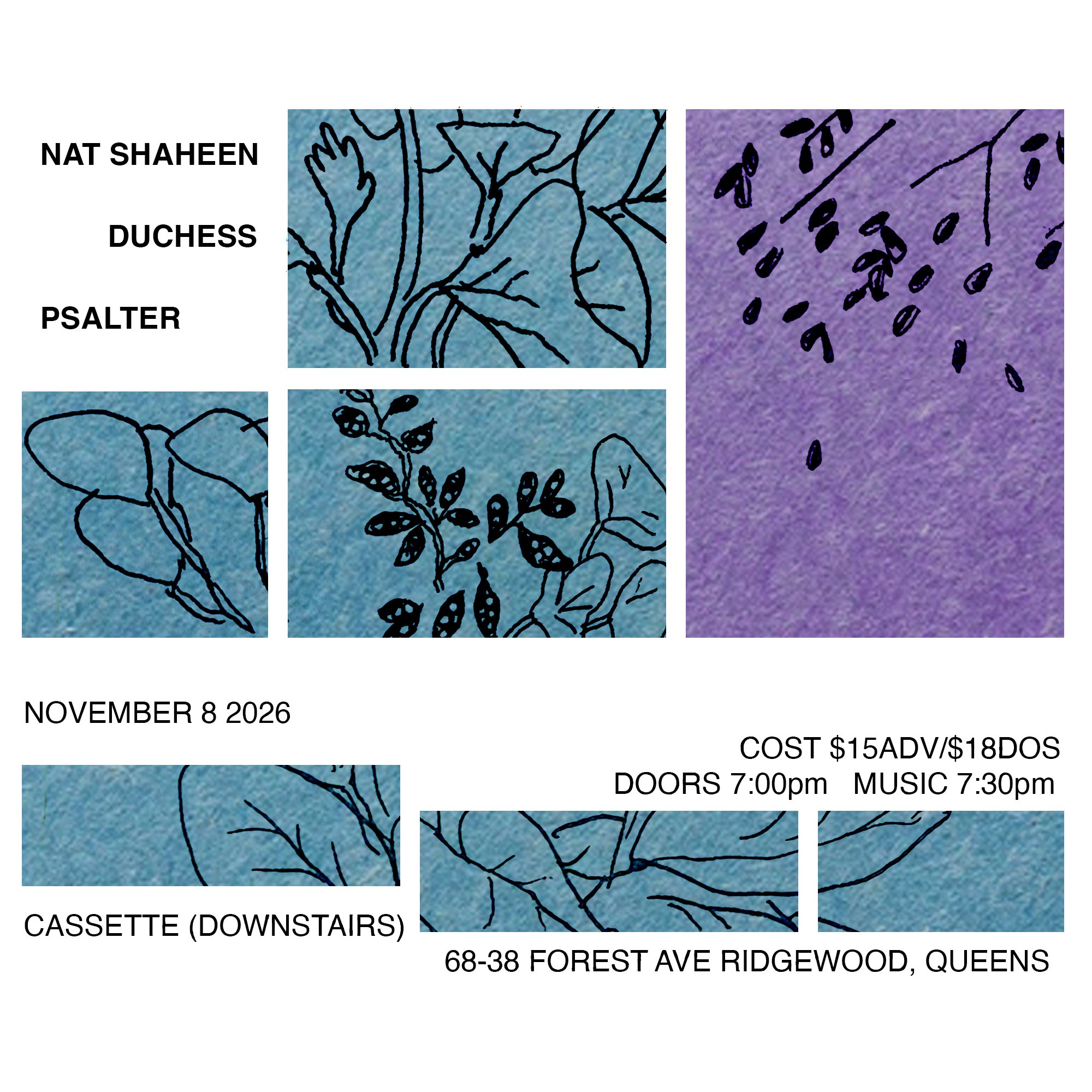 NAT SHAHEEN, DUCHESS, PSALTER - Cassette